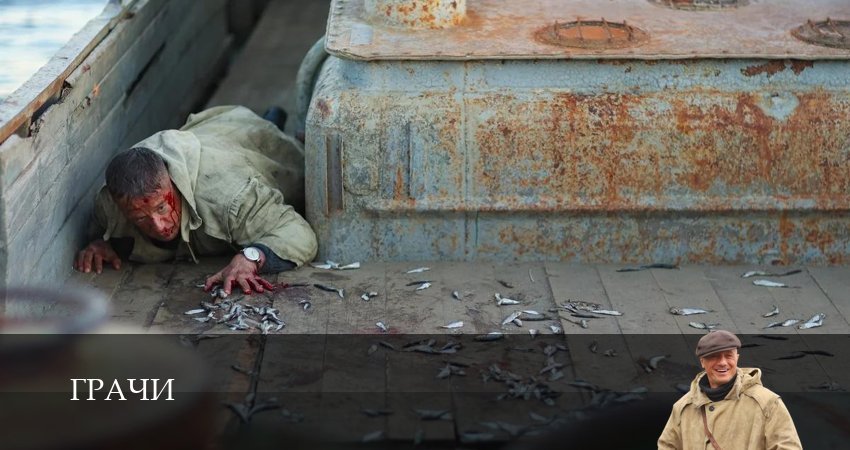 Превью Грачи